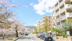 新規オープンの施設特集