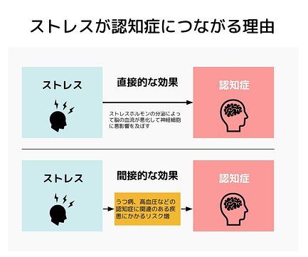 認知症になる原因は何ですか ストレスや疾患との関係などについて教えてください 介護のほんね