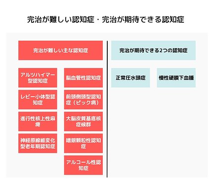 症候群 レビー