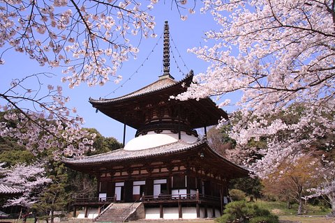 岩出市の老人ホーム 介護施設一覧 空室1件 介護のほんね