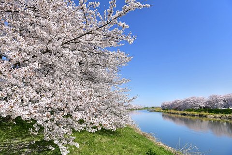 蓮田市の老人ホーム 介護施設一覧 空室5件 介護のほんね
