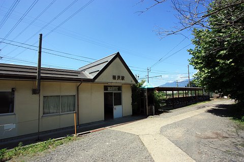 桜沢