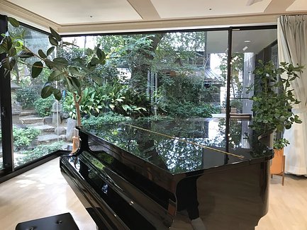 ピアノと桜の木2