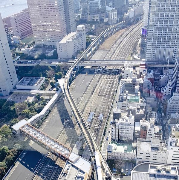 車椅子で暮らしやすく！進化する東京都内のバス、電車