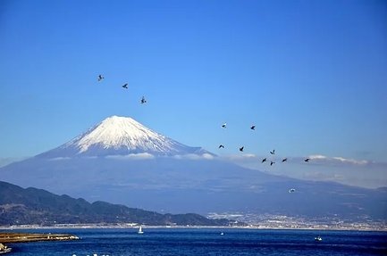 富士山が見える介護施設
