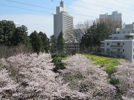 すいとぴー東戸塚 横浜市戸塚区の介護付有料老人ホーム の施設情報 評判 介護のほんね