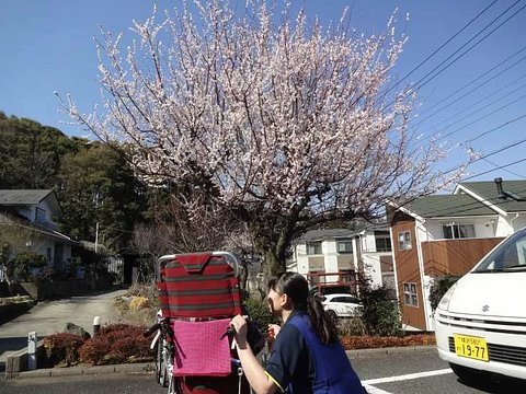 グループホームみんなの家 横浜上白根 横浜市旭区 の施設情報 評判 介護のほんね