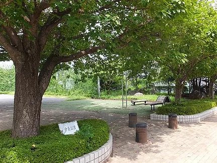 グループホームみんなの家・宮原 中島公園 特徴画像