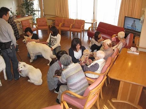 ききのもり奈良駅前 奈良市の介護付有料老人ホーム の施設情報 評判 介護のほんね