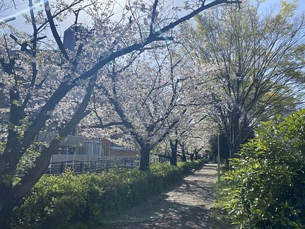 フローレンスケア武蔵小杉 春の二ヶ領用水 特徴画像