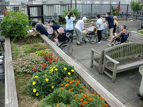 大島ケアハートガーデン 開放的な屋上庭園