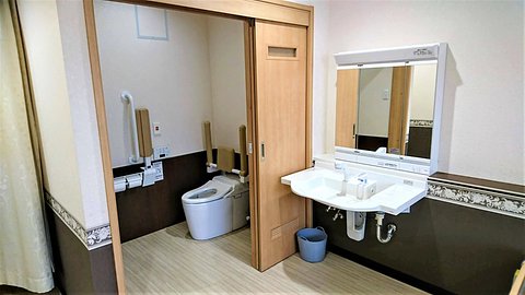 ケアレジデンス東京アネックス 個室の洗面とトイレ
