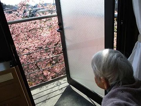 介護付き有料老人ホームわかみや 窓からの景色