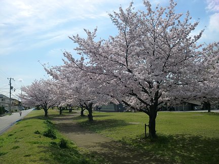 残り1室 愛の家グループホーム加古川尾上 加古川市のグループホーム の施設情報 評判 介護のほんね