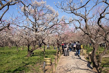 4月10日最新 水戸市のサービス付き高齢者向け住宅 空室6件 介護のほんね